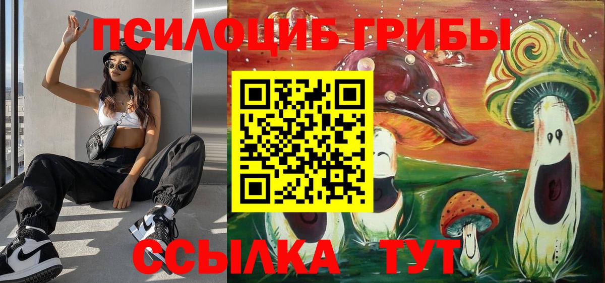 Сальск  Галлюциногенные грибы Cubensis  Вход с VPN 